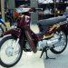 Vì sao giới thượng lưu yêu thích Honda Dream NCX 2026 36 editor ec784c8e6a2298d77b61016f7794b4d9